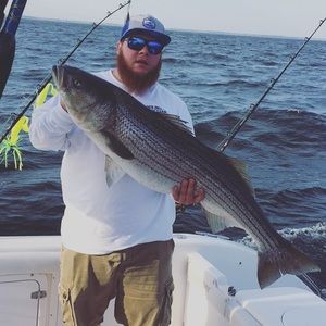 Meet your Posher, Eddie